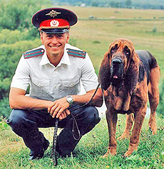 http://www.bulvar.com.ua/images/doc/ac5d42b-30.jpg
